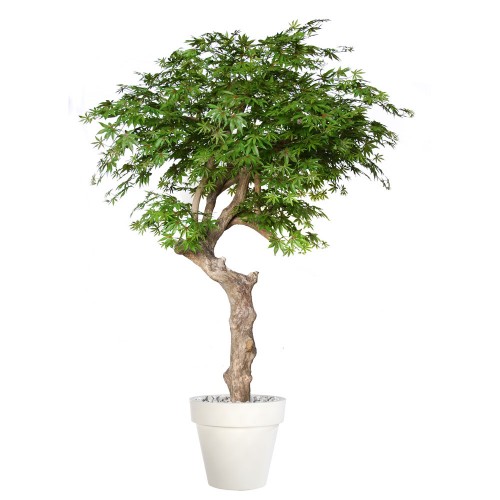 Planta semi-artificiala Ila, Maple Nidra Multicolor - 250 cm